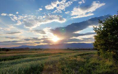 Playlista Suzukowcy.pl na Spotify